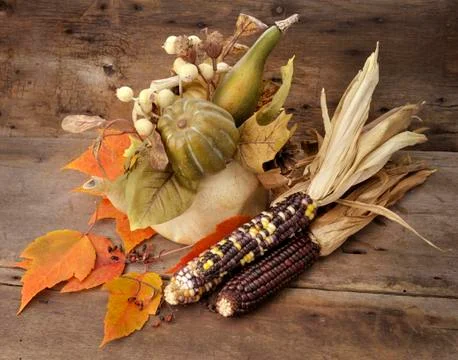 Autumn composition Stock Photos