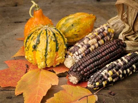 Autumn composition Stock Photos