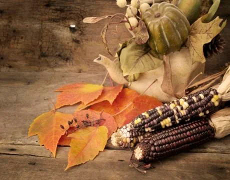 Autumn composition Stock Photos