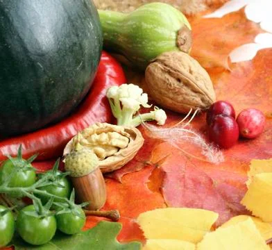 Autumn composition Stock Photos