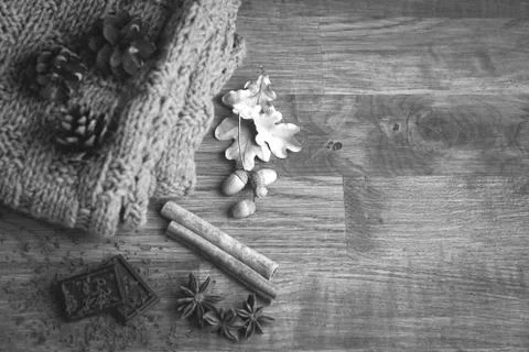 Autumn composition. Stock Photos