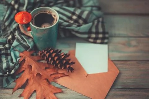 Autumn composition. Stock Photos