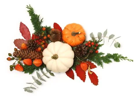 Autumn composition Stock Photos