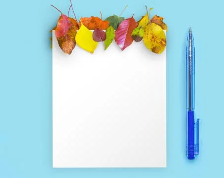Autumn composition. Stock Photos
