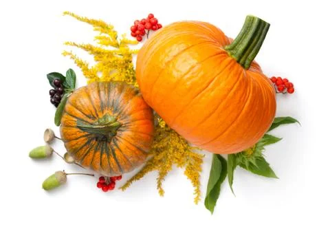 Autumn Composition Stock Photos
