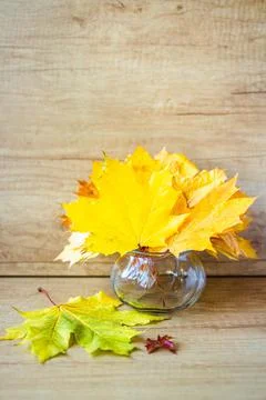 Autumn composition. Stock Photos