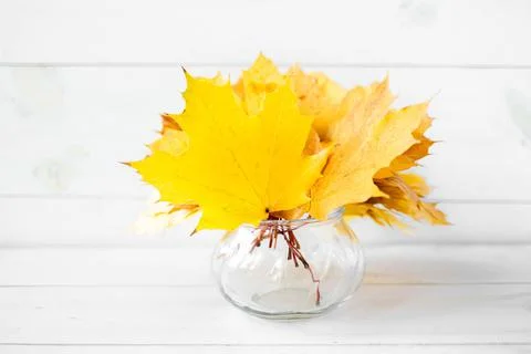 Autumn composition. Stock Photos