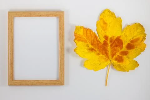 Autumn composition. Photo frame, dried leaf. Autumn, fall, Flat lay, top view Stock Photos