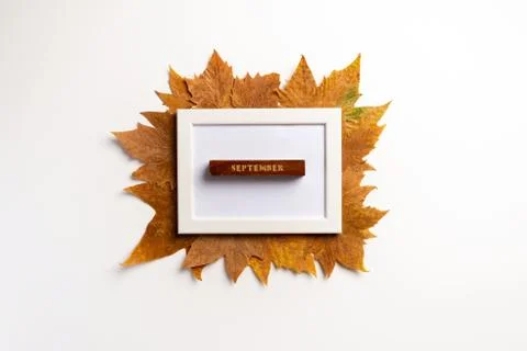 Autumn composition. Photo frame, maple leaves, on white background. Flat lay, 스톡 사진