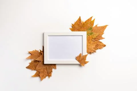 Autumn composition. Photo frame, maple leaves, on white background. Flat lay, 스톡 사진