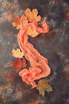 Autumn composition with pine cones and maple leaves Stock Photos