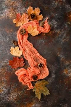 Autumn composition with pine cones and maple leaves Stock Photos