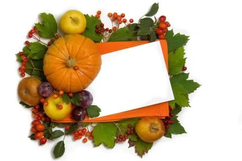 Autumn composition with place for text. Stock Photos