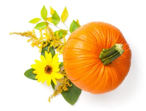 Autumn Composition With Pumpkin Isolated On White Stock Photos