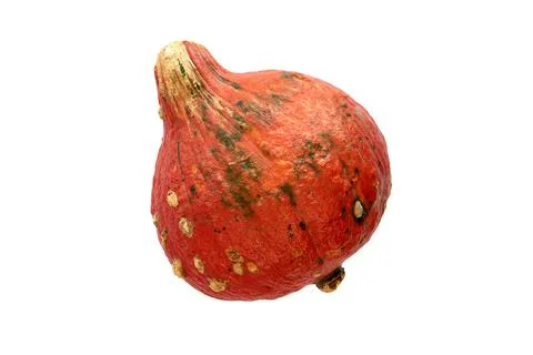 Autumn composition. Pumpkin with sharp shadows isolated on white background.  Stock Photos