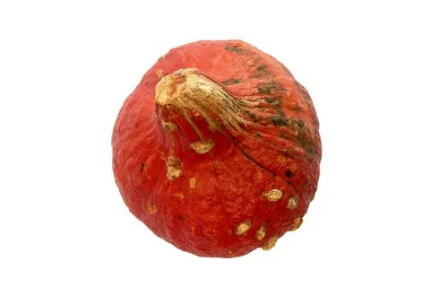 Autumn composition. Pumpkin with sharp shadows isolated on white background.  Stock Photos