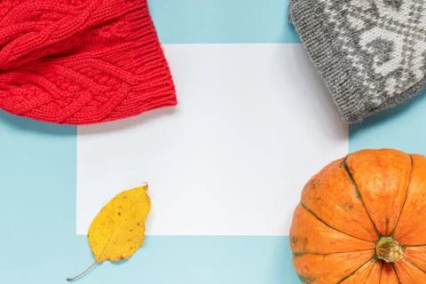 Autumn composition with pumpkin, yellow leaf, woolen clothes on a blue backgr Stock Photos