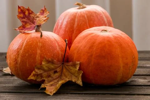 Autumn composition of pumpkins and maple leaves on a wooden table Stock Photos