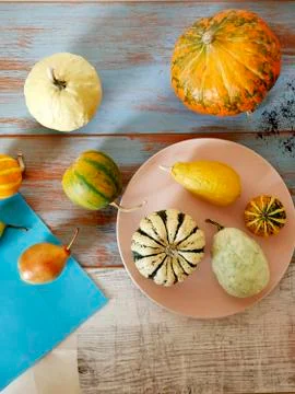 Autumn composition of pumpkins of different varieties, cupcakes, pears Stock Photos