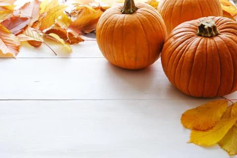 Autumn composition. Pumpkins, fall leaves on white table. Halloween concept. Stock Photos