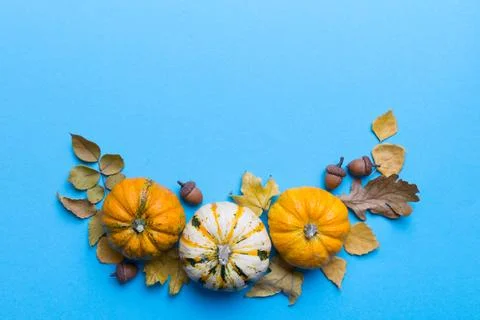 Autumn composition Pumpkins with fall leaves over coloredbackground. Top vi.. Stock Photos
