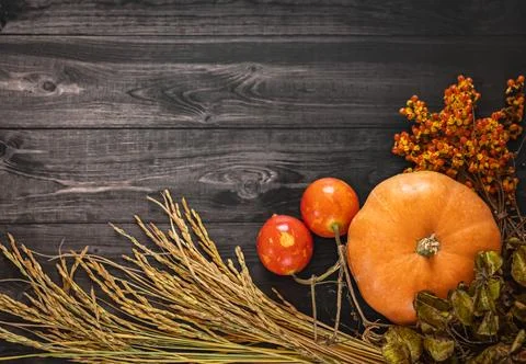 Autumn composition with pumpkins, wheat and berries for Thanksgiving Day on r Stock Photos