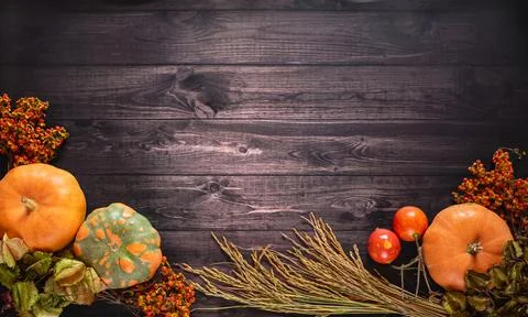 Autumn composition with pumpkins, wheat and berries for Thanksgiving Day on r Stock Photos