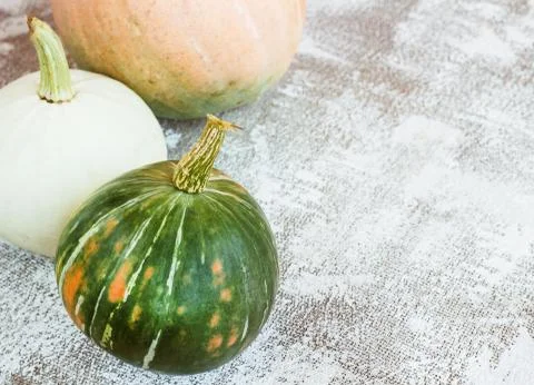Autumn composition. Pumpkins on white background. Autumn, fall, halloween con Stock Photos
