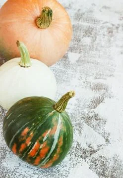 Autumn composition. Pumpkins on white background. Autumn, fall, halloween con Stock Photos