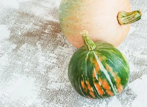 Autumn composition. Pumpkins on white background. Autumn, fall, halloween con Stock Photos