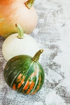 Autumn composition. Pumpkins on white background. Autumn, fall, halloween con Stock Photos