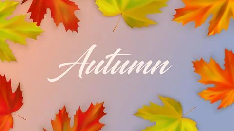 Autumn composition of realistic color fall maple leaves Illustrazione stock