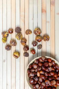 Autumn composition of ripe half-opened chestnuts in prickly shell and peeled  Stock Photos