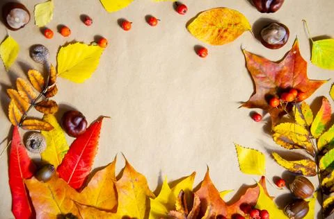 Autumn composition. Selective focus yellow, red, green, brown autumn leaves. Foto stock