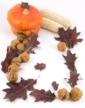 Autumn composition on white background Stock Photos