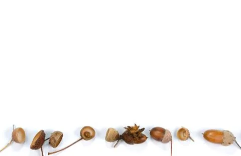 Autumn composition on white background . Stock Photos