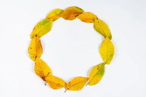 Autumn composition on white background . Stock Photos
