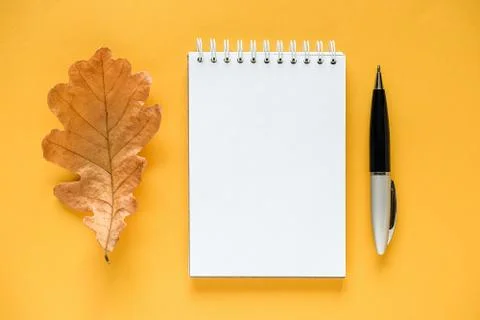 Autumn composition. White blank notepad, dried orange oak leaf and pen on yel Stock Photos