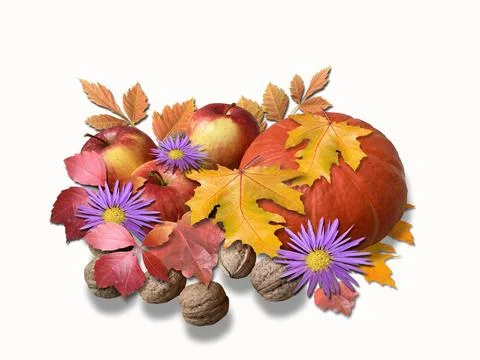 Autumn composition on white Stock Illustration