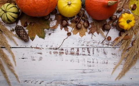 Autumn composition on white table .Copy space. Stock Photos