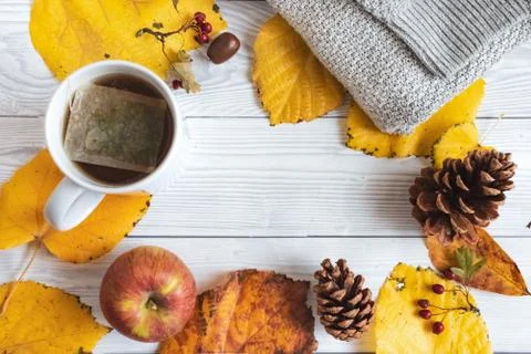 Autumn composition on white wooden background Stock Photos