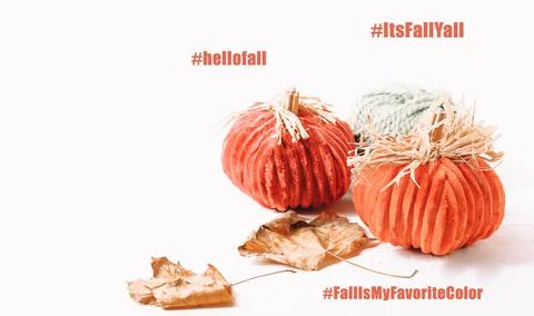 Autumn composition with words. Hand-stitched pumpkins and autumn leaves. Place Stock Photos