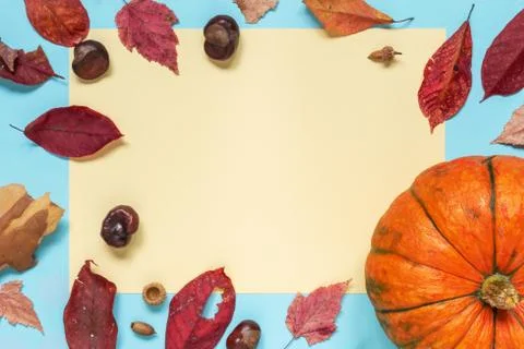 Autumn composition.Pumpkins, pine bark and dried leaves on white background.  Stock Photos