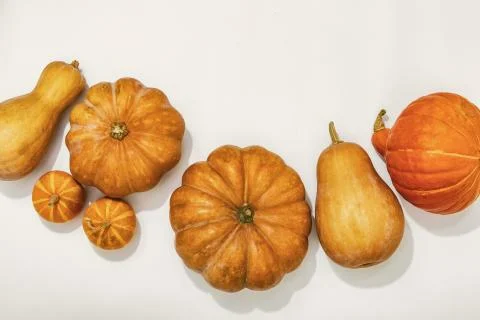 Autumn concept background with copy space Stock Photos