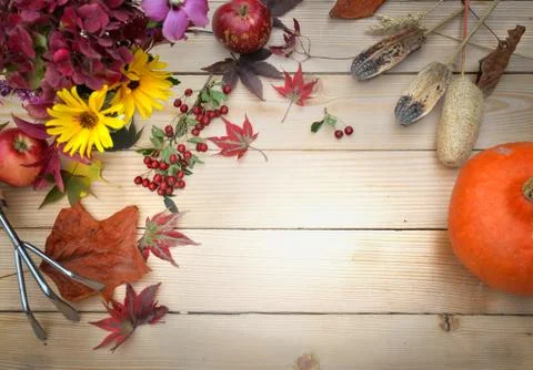 Autumn concept background Stock Photos
