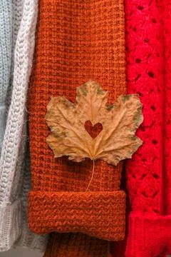 Autumn concept. Fall maple leaf in heart shape on cozy warm sweater. Knitted  Foto stock