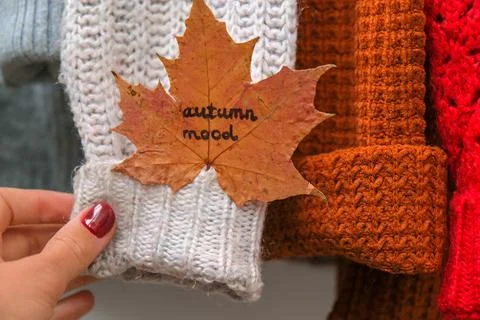 Autumn concept. Fall maple leaf with text AUTUMN MOOD on cozy warm sweater. K Stock Photos