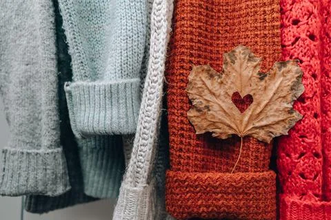 Autumn concept. Fall maple leaf in heart shape on cozy warm sweater. Knitted  Stock Photos