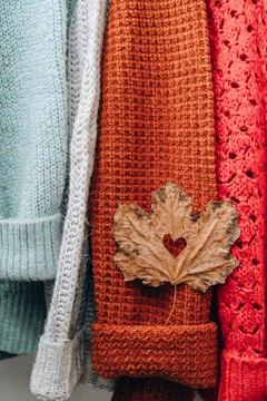 Autumn concept. Fall maple leaf in heart shape on cozy warm sweater. Knitted Stock Photos