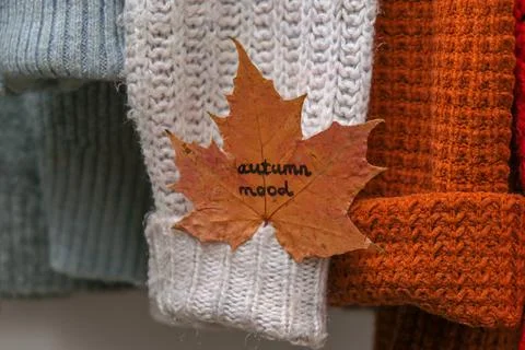 Autumn concept. Fall maple leaf with text AUTUMN MOOD on cozy warm sweater Foto stock